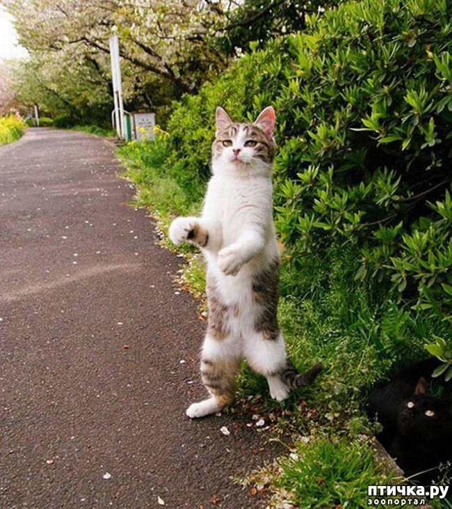 ���� 20: 20 ������ ���������� ����� ���� ������ � ������� 4