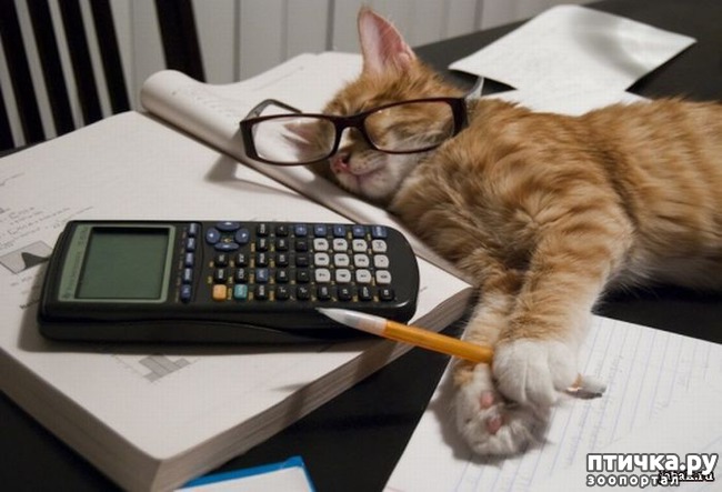 ���� 3: ����� �������.