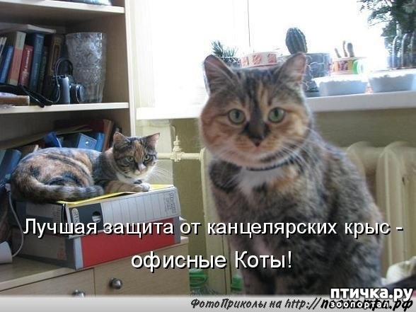 ���� 2: ����� �������.