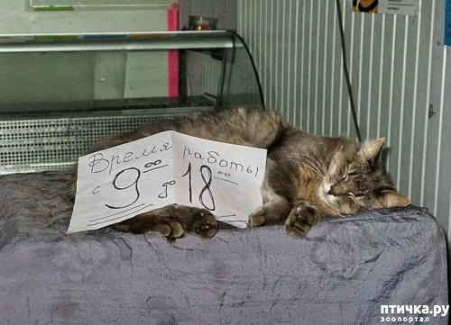 ���� 9: ����� �������.