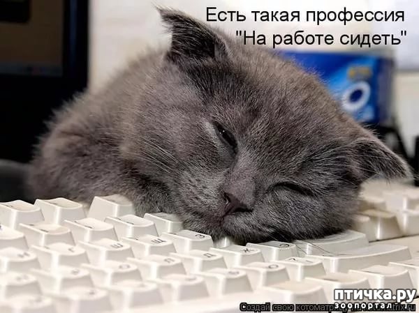 ���� 8: ����� �������.