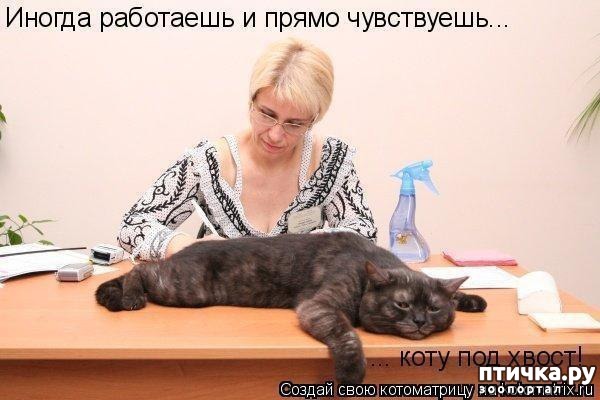 ���� 12: ����� �������.