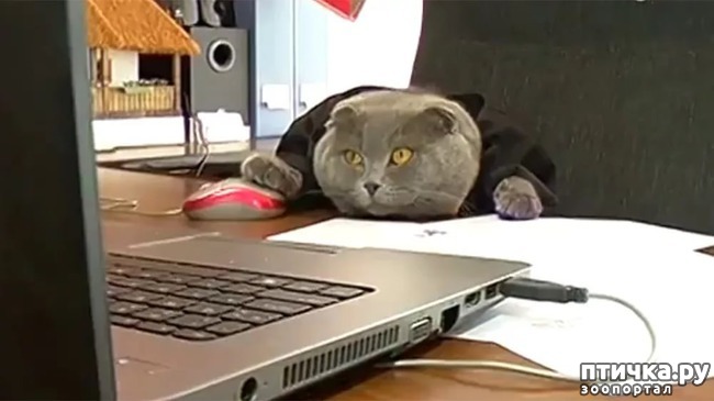 ���� 11: ����� �������.