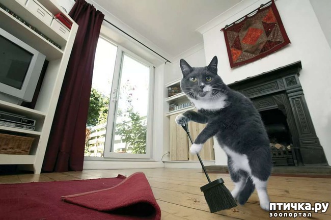 ���� 10: ����� �������.