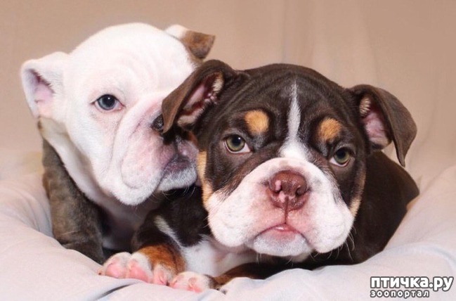 ���� 2: 10 ����� � ����� ������, � ������� ����� ���� ��������� ������