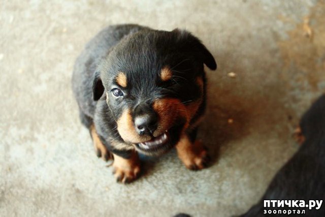 ���� 3: 10 ����� � ����� ������, � ������� ����� ���� ��������� ������