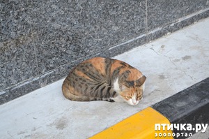 ����: ����� � �������� ��������