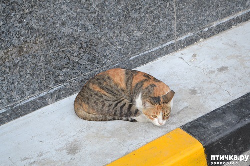 ���� 1: ����� � �������� ��������