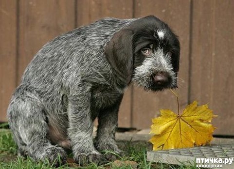 ���� 4: 10 ����� � ����� ������, � ������� ����� ���� ��������� ������