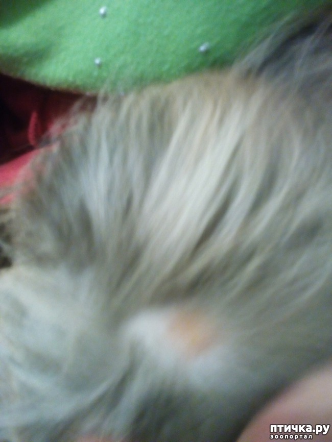 ���� 1: �������� ����������