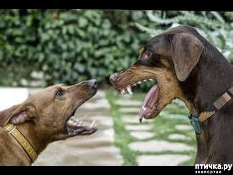 ���� 9: 10 ����� � ����� ������, � ������� ����� ���� ��������� ������