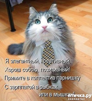 ����: ����� �������.