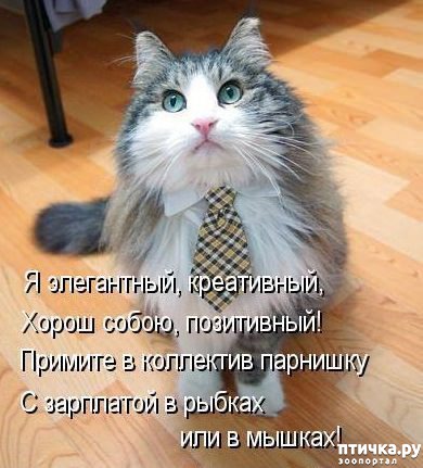 ���� 1: ����� �������.