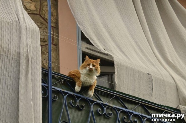 ���� 5: ��� ������������ ���� � ���������))