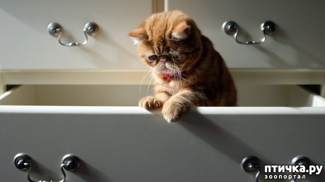 ���� 6: ��� ������������ ���� � ���������))