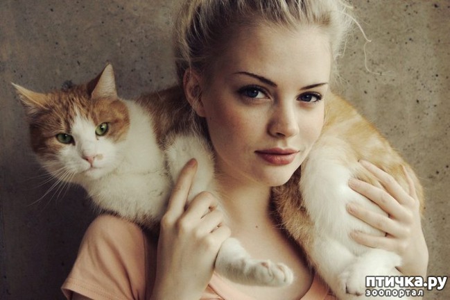 ���� 11: ��� ������������ ���� � ���������))