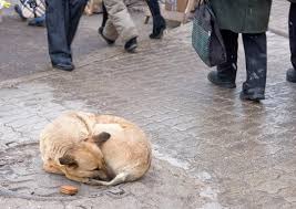 ����: ��� �� �� ���� ������..