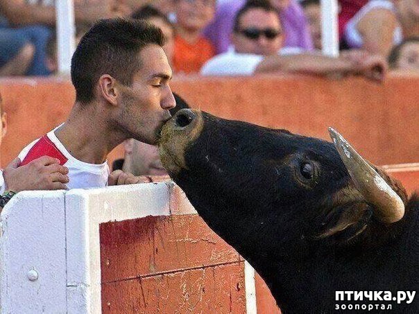 ���� 1: ��������� ��� �� ������� ��������� ������ �������, ������� �������� ��� � ������ �����