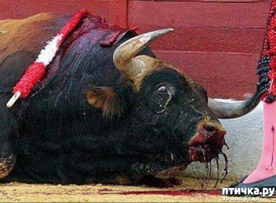 ���� 2: ��������� ��� �� ������� ��������� ������ �������, ������� �������� ��� � ������ �����