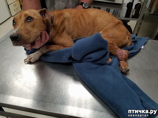 ���� 1: ��� �� �������� ����� � �����, ���� �� ������ ��� ����� ��� ����� ������ � ������������� ����