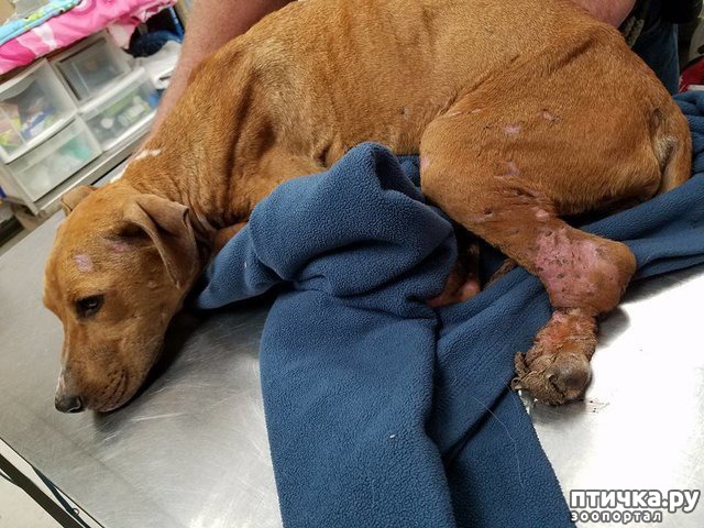 ���� 2: ��� �� �������� ����� � �����, ���� �� ������ ��� ����� ��� ����� ������ � ������������� ����