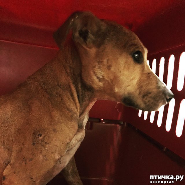 ���� 3: ��� �� �������� ����� � �����, ���� �� ������ ��� ����� ��� ����� ������ � ������������� ����