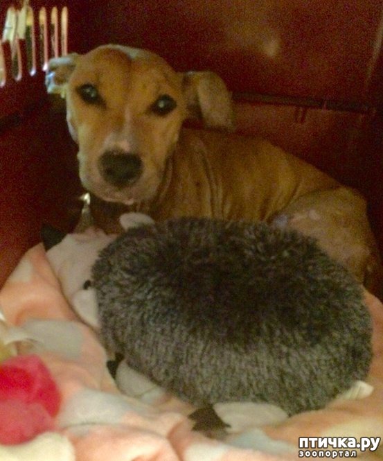 ���� 4: ��� �� �������� ����� � �����, ���� �� ������ ��� ����� ��� ����� ������ � ������������� ����