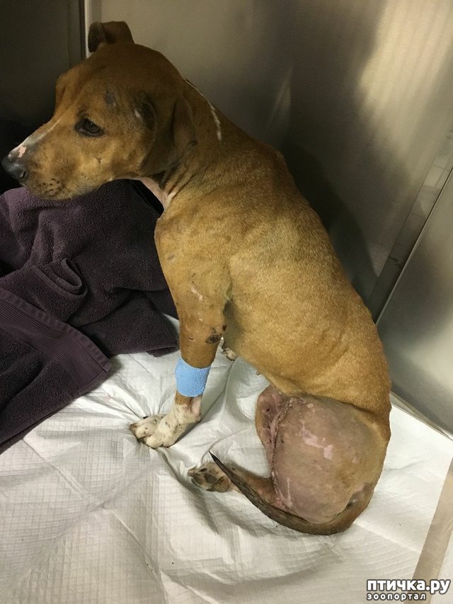 ���� 5: ��� �� �������� ����� � �����, ���� �� ������ ��� ����� ��� ����� ������ � ������������� ����