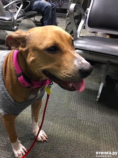 ���� 6: ��� �� �������� ����� � �����, ���� �� ������ ��� ����� ��� ����� ������ � ������������� ����