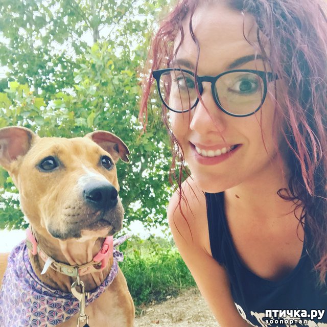 ���� 7: ��� �� �������� ����� � �����, ���� �� ������ ��� ����� ��� ����� ������ � ������������� ����