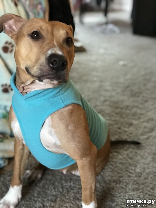 ���� 8: ��� �� �������� ����� � �����, ���� �� ������ ��� ����� ��� ����� ������ � ������������� ����