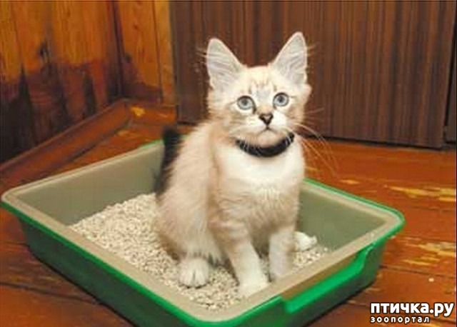 ���� 6: �������� � �����, �� �� ��������� - �����...