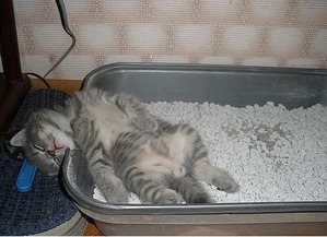 ����: �������� � �����, �� �� ��������� - �����...