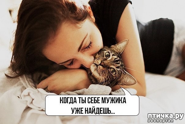 ���� 22: ��� ������������ ���� � ��������� - 2))