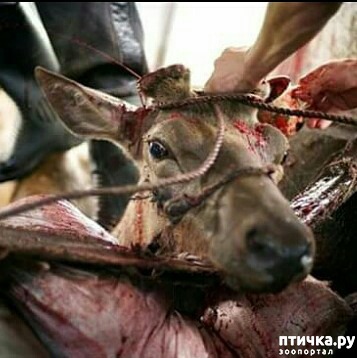 ���� 2: �������� ����� ������ ��� ���� ������������� �������...