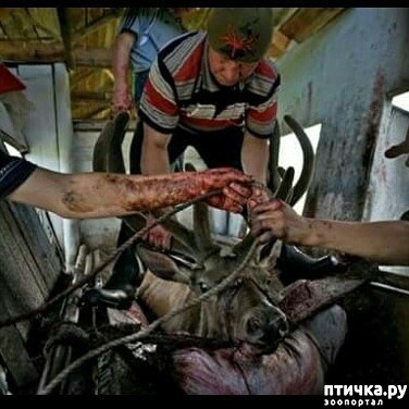 ���� 4: �������� ����� ������ ��� ���� ������������� �������...