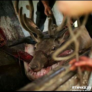 ���� 5: �������� ����� ������ ��� ���� ������������� �������...