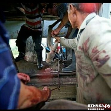 ���� 6: �������� ����� ������ ��� ���� ������������� �������...