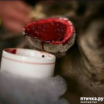 ���� 7: �������� ����� ������ ��� ���� ������������� �������...