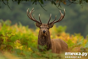 ����: �������� ����� ������ ��� ���� ������������� �������...