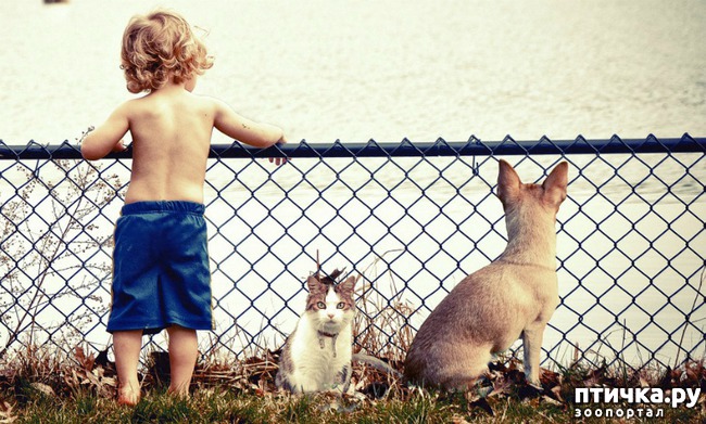 ���� 3: ������������ � ���������?