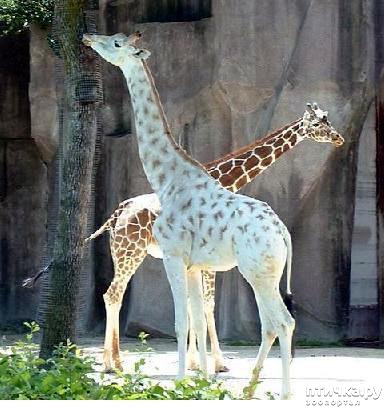 ���� 2: ����� ������ ������� ����� �� ����� � ��������� �����������