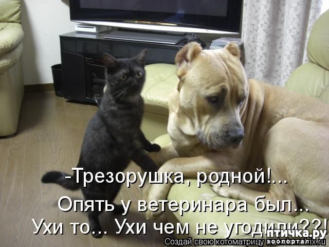 ���� 12: ��� ������������ ���� � ��������� - 2))