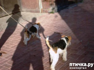 ����: �������� ��� ���������! � ��� � ��� �����!