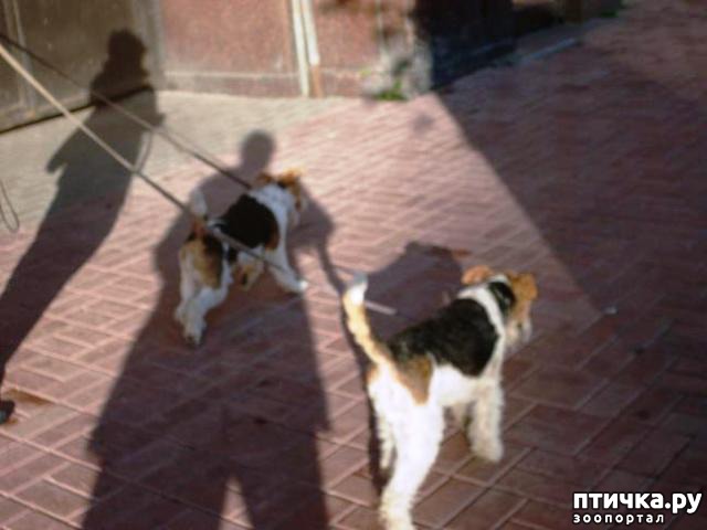 ���� 1: �������� ��� ���������! � ��� � ��� �����!