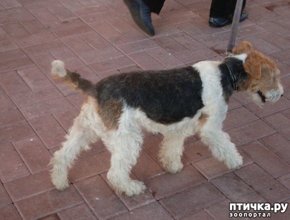 ���� 2: �������� ��� ���������! � ��� � ��� �����!