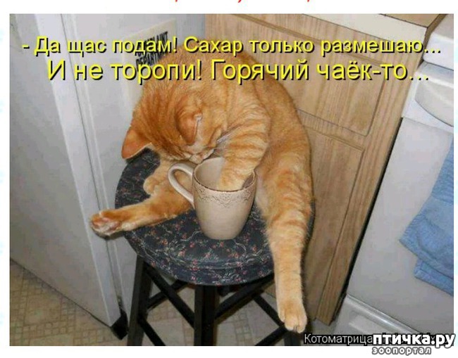  17:   )))