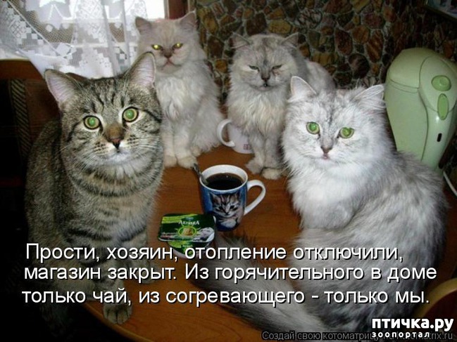  19:   )))