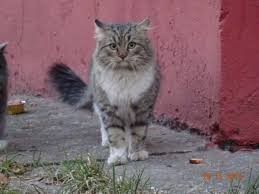 ���� 1: �� ���