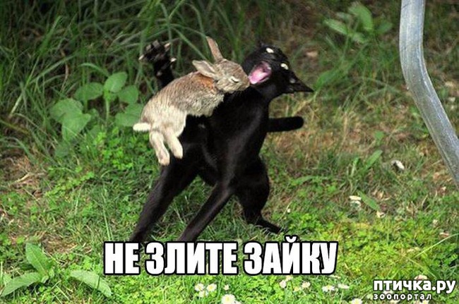 ���� 4: ���������� �������� ����.